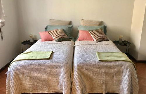 Estrelícia - Foto 15