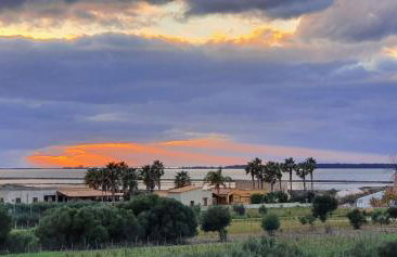 Martina's Vineyard - villa - Foto 42