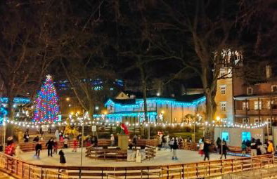Domek Cichy Zakątek Beskid Niski - Foto 77