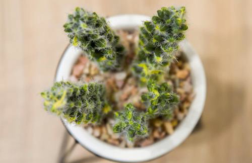 Antracytowy Zakątek - Photo 35