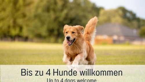 Chalet Salzenweiler eingezäunt - Sauna - Kamin - Wlan - Foto 4, pet friendly