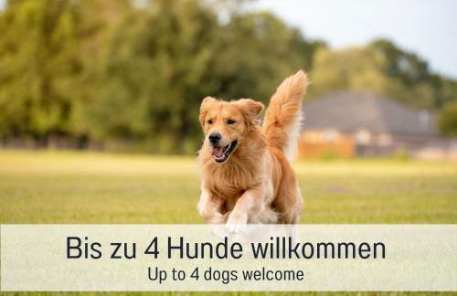 Chalet Salzenweiler eingezäunt - Sauna - Kamin - Wlan - Photo 4