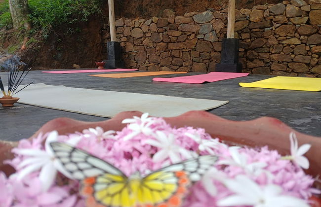 Ella Retreat Hotel - Photo 61