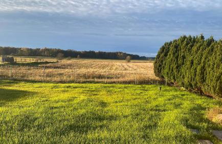 Ferienhaus Kalea - Photo 47