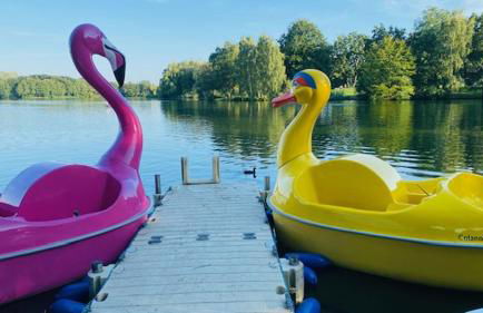 Ferienhaus Vienna am Kronensee - Foto 20