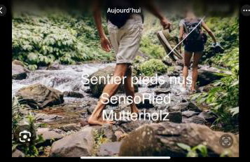 Grand appartement au cœur de la région alsacienne - Photo 74