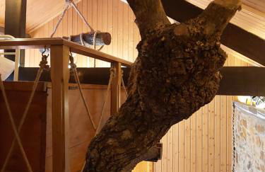 Casa da Arvore - Paradinha - Foto 62