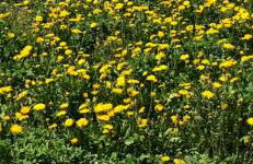 ElleCi Casa Vacanze - Photo 57