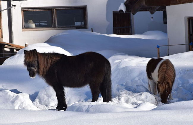 Holiday Apartment on the Hutterwirtshof - Foto 18