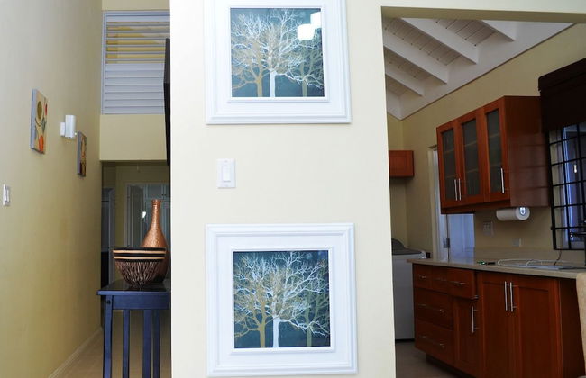 Ocho Rios Villas at Coolshade II - Photo 35