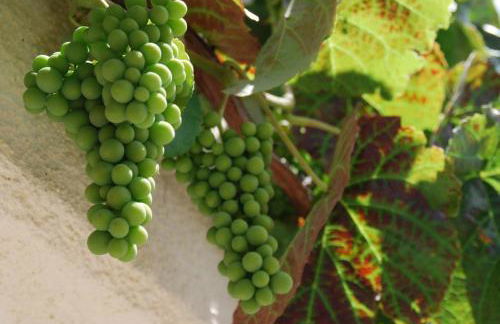 Paradiesisch Wohnen - Loreley - Foto 37