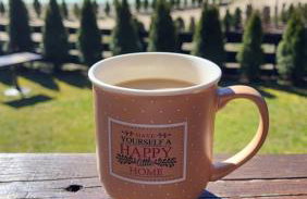 Chëcz Kaszëbsko 59 - Foto 42