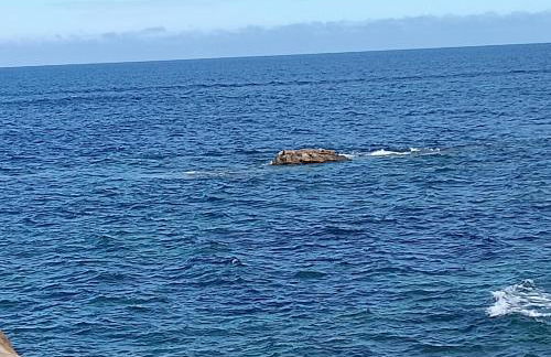 CASA Atzu Loft - Foto 17