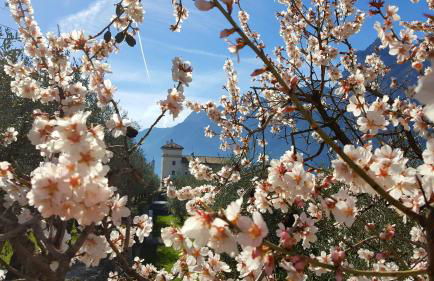 Residence La Colombera - Foto 23