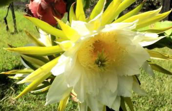 Ideal Villa in Vila Nova de Famalicão with Private Pool - Foto 78