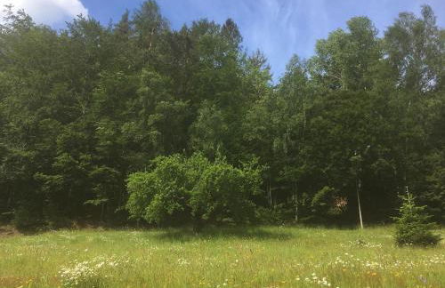 Idyllisches Häuschen im Grünen - Foto 13