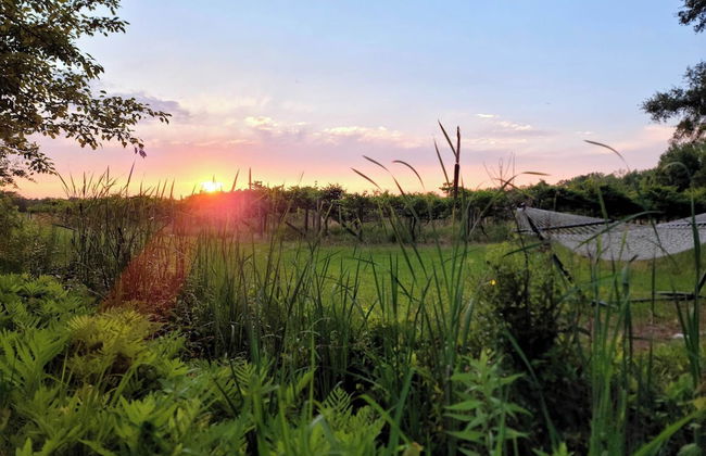 Phoenix Farms Vineyard - Foto 21