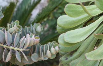 Superior G: private pool & concierge - Foto 8