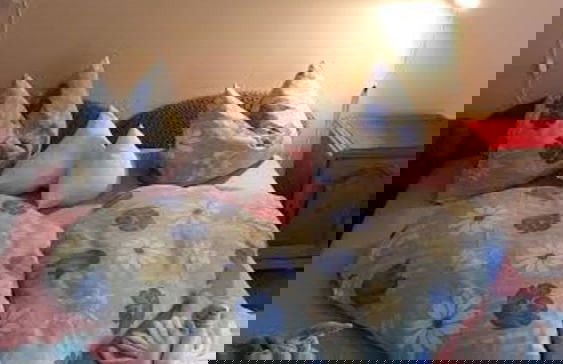 Toldi Apartman - Foto 5