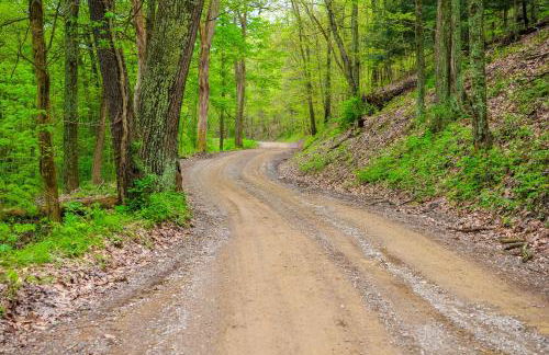 Cabin with Trail Access to Mohican River - Foto 25