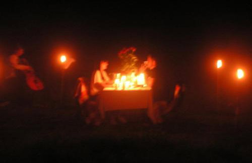 Winnica Na Leśnej Polanie - Foto 4