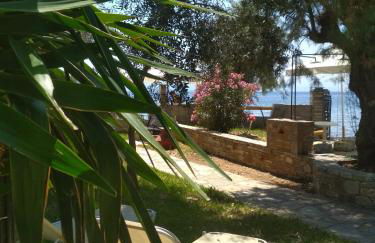 Kalama Apartments - Foto 11