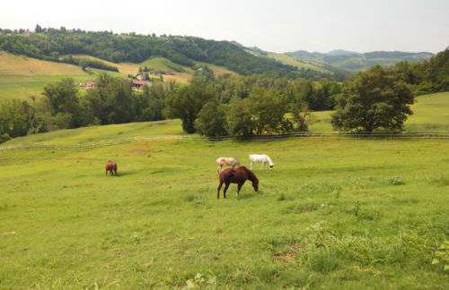 Agriturismo Il Colle del Falco - Photo 38
