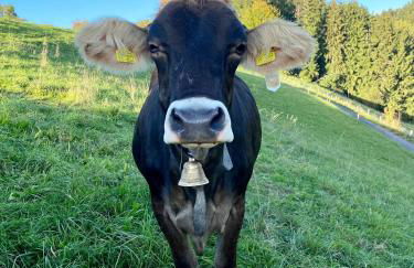 Ferienwohnung Bergblick Wangen im Allgäu mit Garten, 2022 komplett renoviert - Foto 18