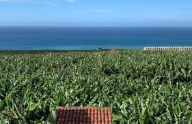 Apartamento Los Guirres - Foto 6