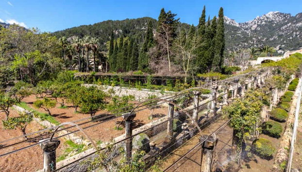 Un ambiente naturale incantevole