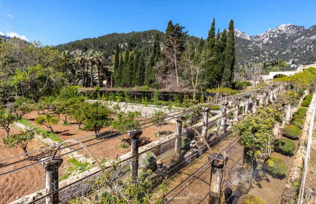 Entrada a los Jardines de Alfabia - Foto 5