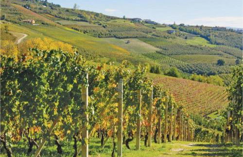 Hillview Langhe Apartment - Foto 66