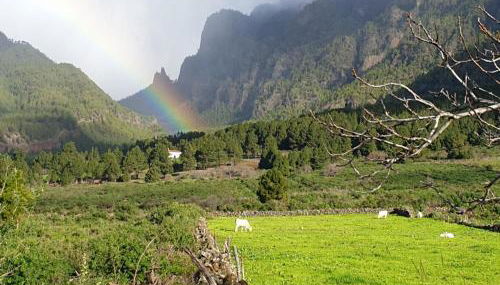 Vivienda Casa Abuela - Foto 2
