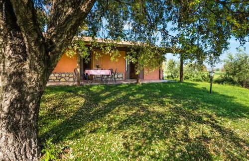 Podere Del Gesso - Foto 28