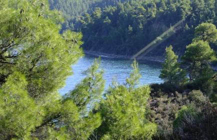 Spacious Villa close to an amazing Sithonia beach - Foto 63