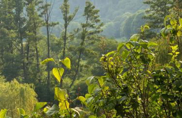Ferienwohnung Burg Hausen - Foto 48