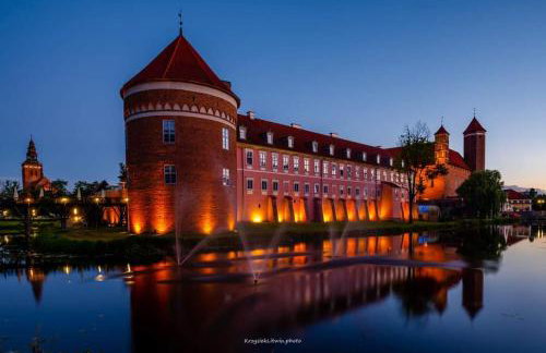 Apartament z Napoleonem w tle - Foto 29