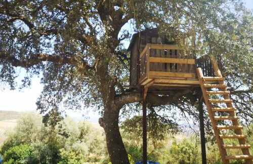 CASA RURAL EL CHAPARRO - Foto 12