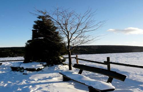 Winterberg Gruppenhaus mit Sauna ideal für Familien & Freunde - Foto 50