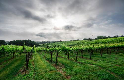 Kaya Cottages - Foto 25