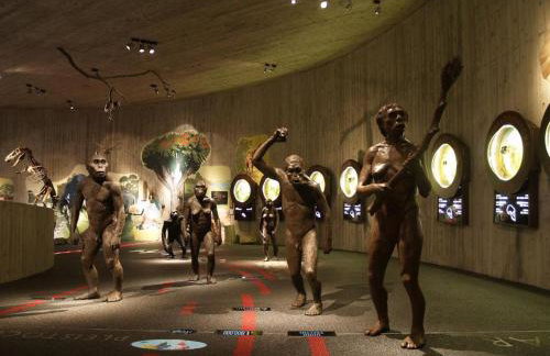 Green Peak - Foto 37