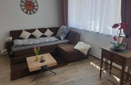 FeWo - Zur Alten Wäscherei - Zentrumsnah - Garage inklusiv - Foto 20