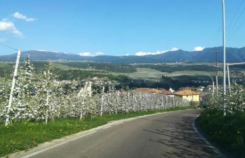 MELAX Apartment - Foto 14