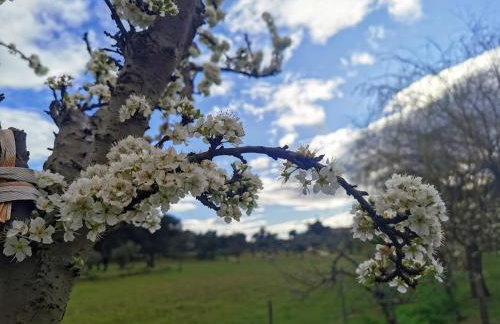 Casas do Regato - Foto 63