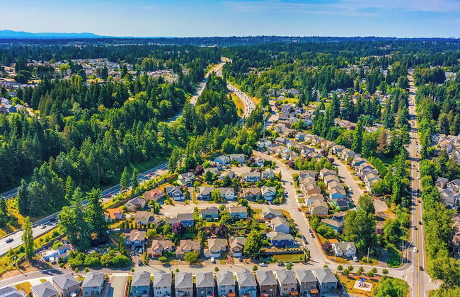 Goblin's D&D House Cinema Board Games - Photo 63