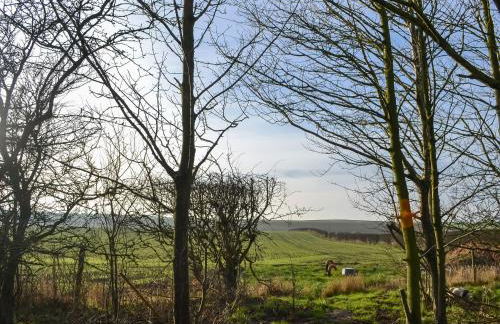 Beech - Uk47622 - Foto 13