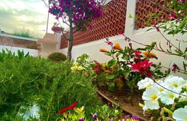 Maison Armandì - Foto 20