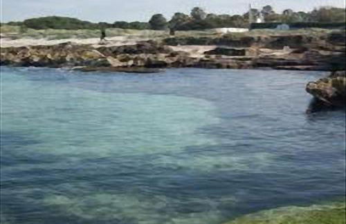 Casa Magnolia - Foto 58