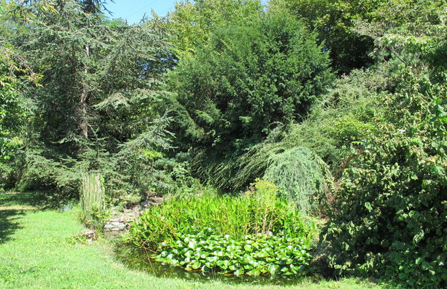 La Perla del Lago - Foto 32