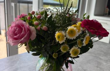 FerienWohnung Gästehaus Merzig-Besseringen NEUBAU - Photo 4